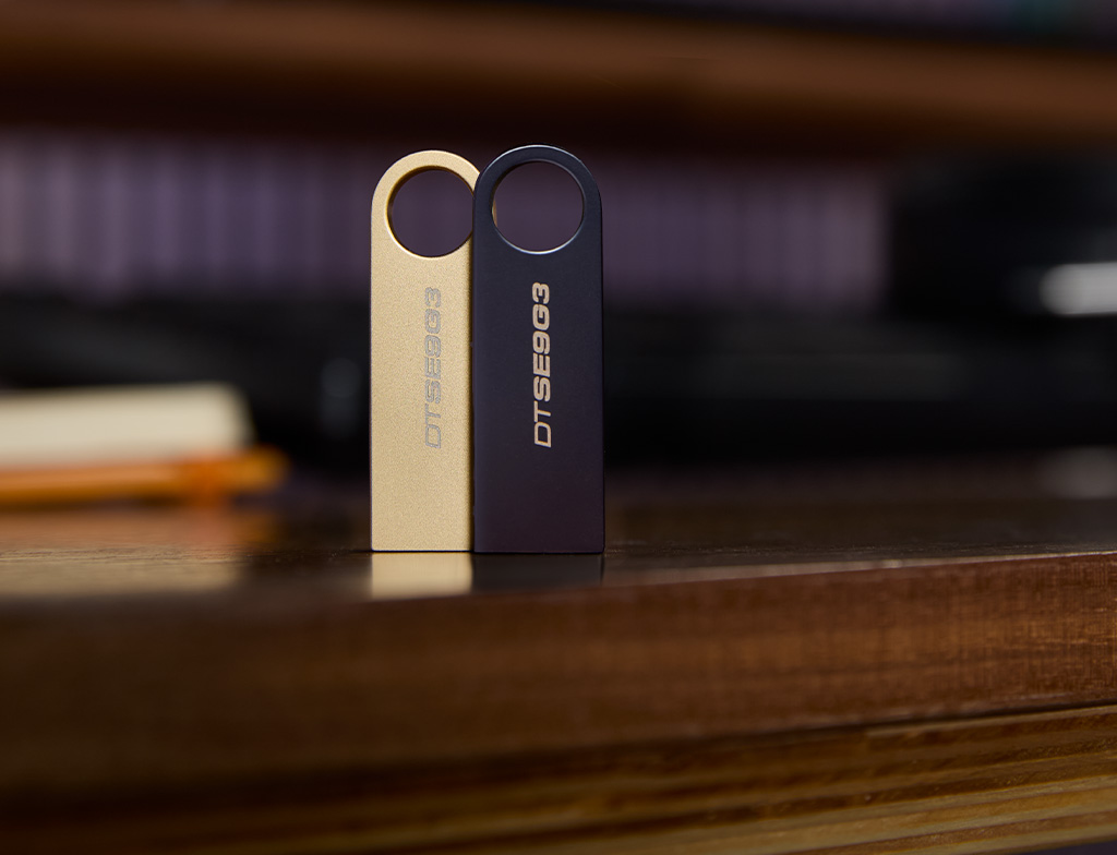 Kingston DataTraveler USB flash disk
